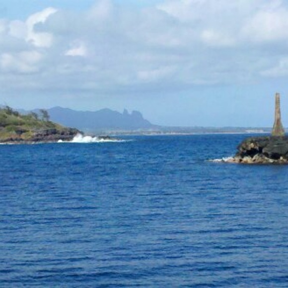 Meet your Posher, Laverne - Picture 1 of 1